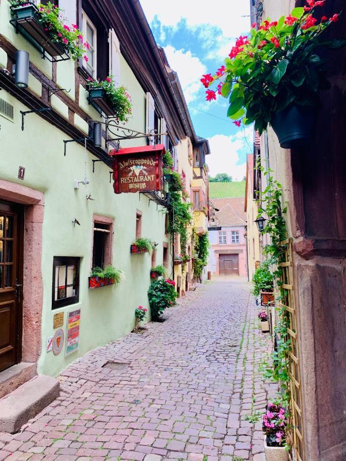 La Ruelle Alsacienne, Charme Alsacien Et Confort Moderne Рикевир Экстерьер фото