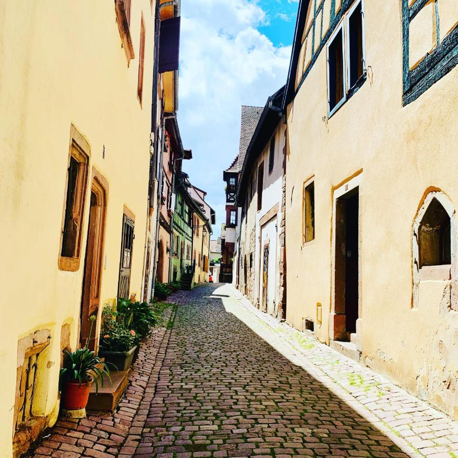 La Ruelle Alsacienne, Charme Alsacien Et Confort Moderne Рикевир Экстерьер фото